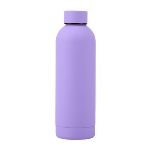 17oz Stainless Steel Double-Wall Thermos Bottle
