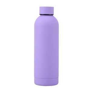 17oz Stainless Steel Double-Wall Thermos Bottle