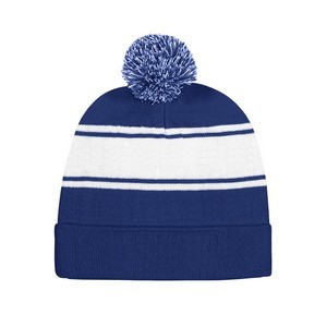 Winter Team Beanie