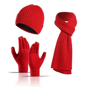 Winter Knitted Beanie