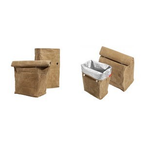 Insulated Waxed Canvas Lunch Bag