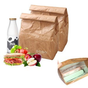 Tyvek Paper Insulated Lunch Bag