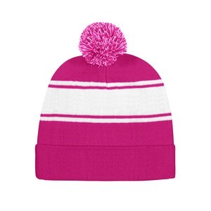 Winter Team Beanie
