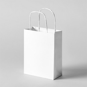 Paper Bag