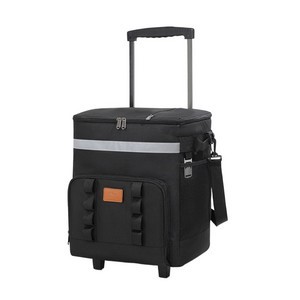 Eco-friendly Insulated Cooler Bag