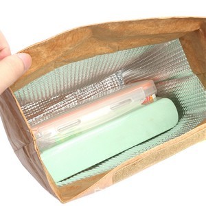 Tyvek Paper Insulated Lunch Bag