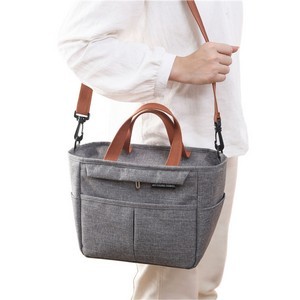 Large Insulated Lunch Tote Bag