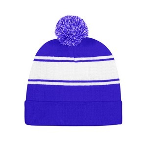 Winter Team Beanie