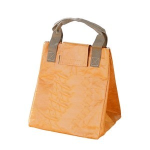 Eco-Friendly Insulated Reusable Lunch Cooler Bag