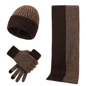 Winter Knit Beanie