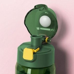 17.6oz PC Material Water Bottle