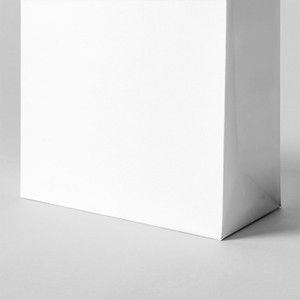 Paper Bag