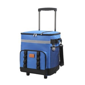 Eco-friendly Insulated Cooler Bag