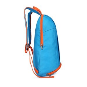 Foldable Travel Backpack