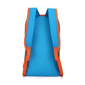 Foldable Travel Backpack