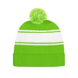 Winter Team Beanie