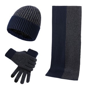 Winter Knit Beanie