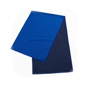 Refresh Chill Towel