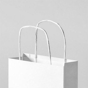 Paper Bag