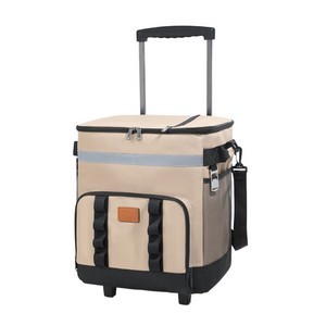 Eco-friendly Insulated Cooler Bag