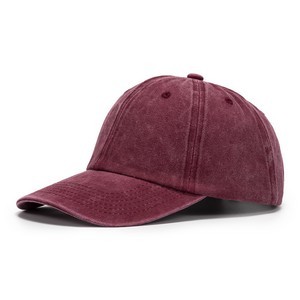 Timeless Cotton Dad Hat