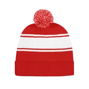 Winter Team Beanie