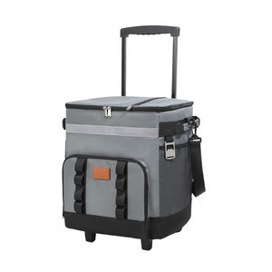 Eco-friendly Insulated Cooler Bag