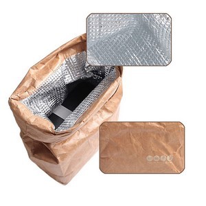 Tyvek Paper Insulated Lunch Bag