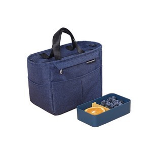 Large Insulated Lunch Tote Bag