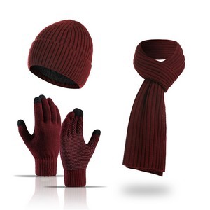 Winter Knitted Beanie