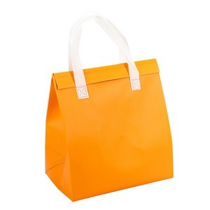 Eco-friendly Insulated Bag