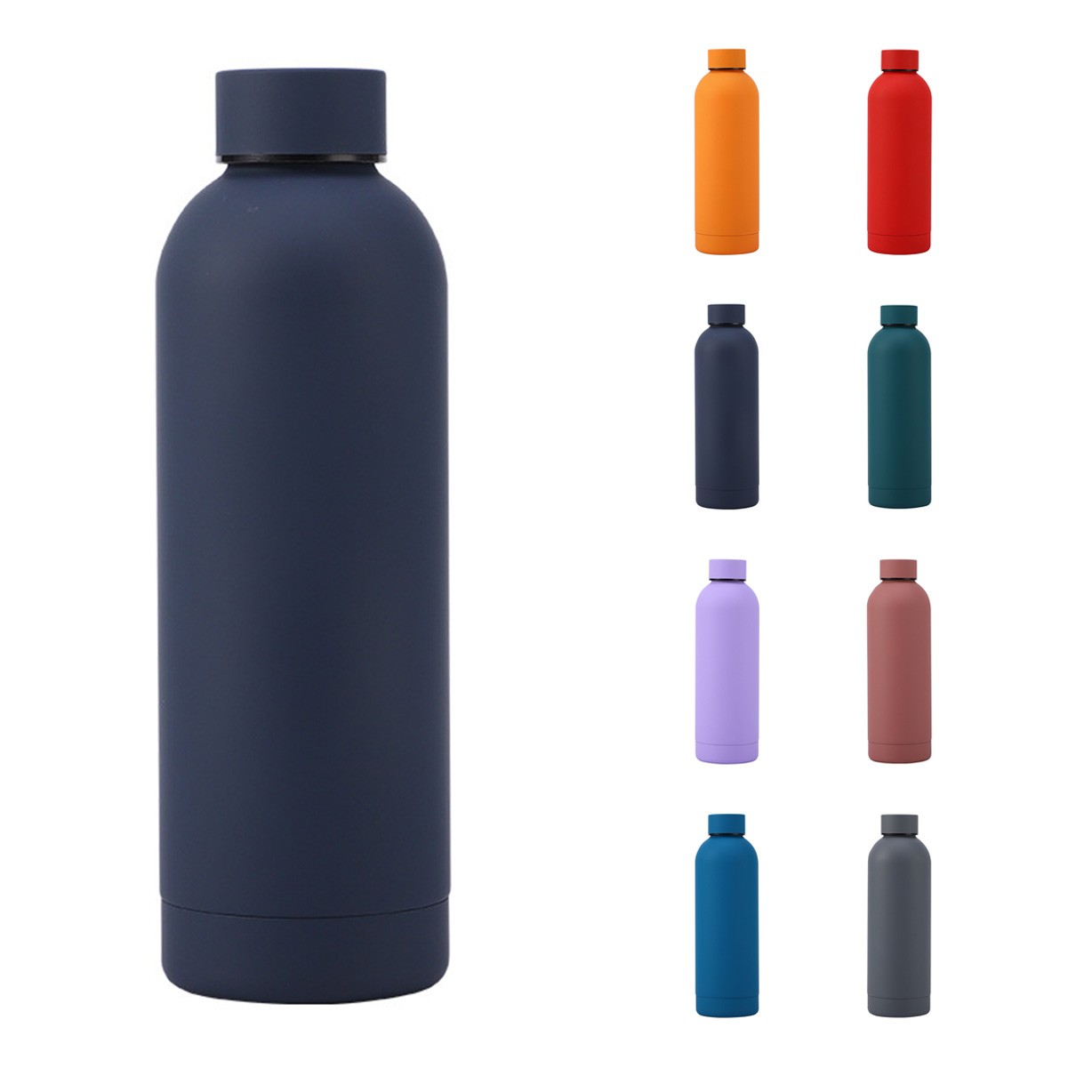 16.9 oz Stainless Steel Insulated Water Bottle