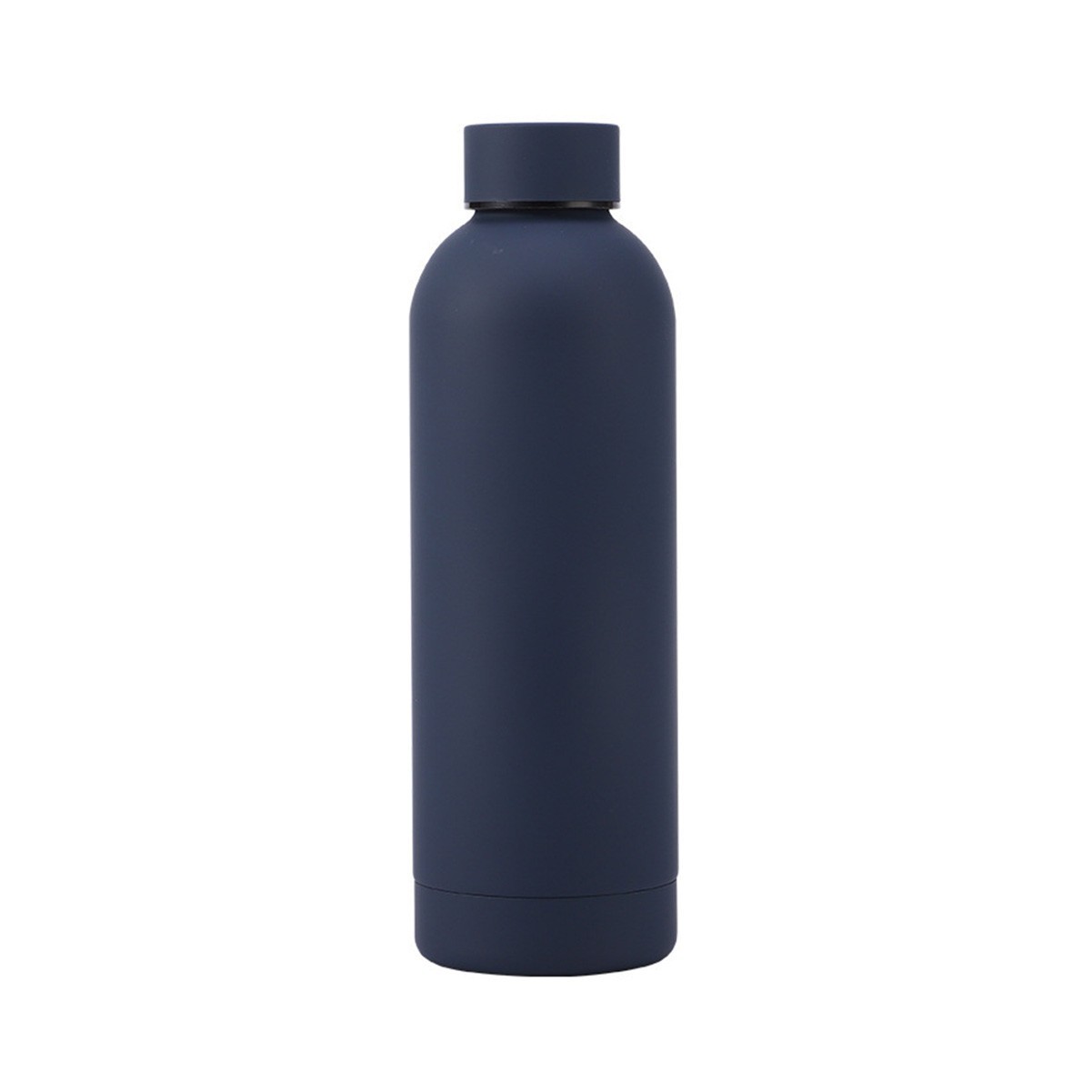 16.9 oz Stainless Steel Insulated Water Bottle