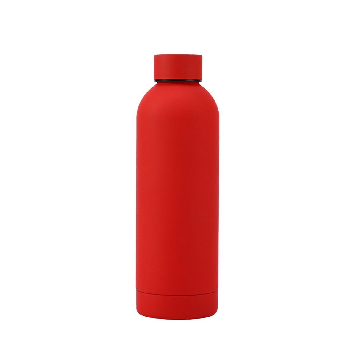 17oz Reusable Stainless Steel Frosted Water Bottle