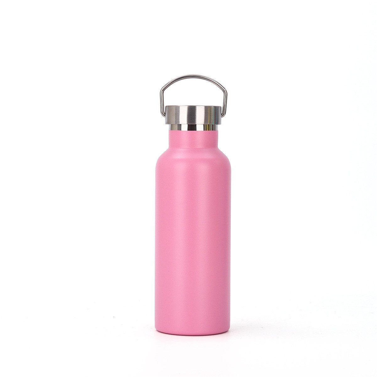 20oz Stainless Steel Water Bottle