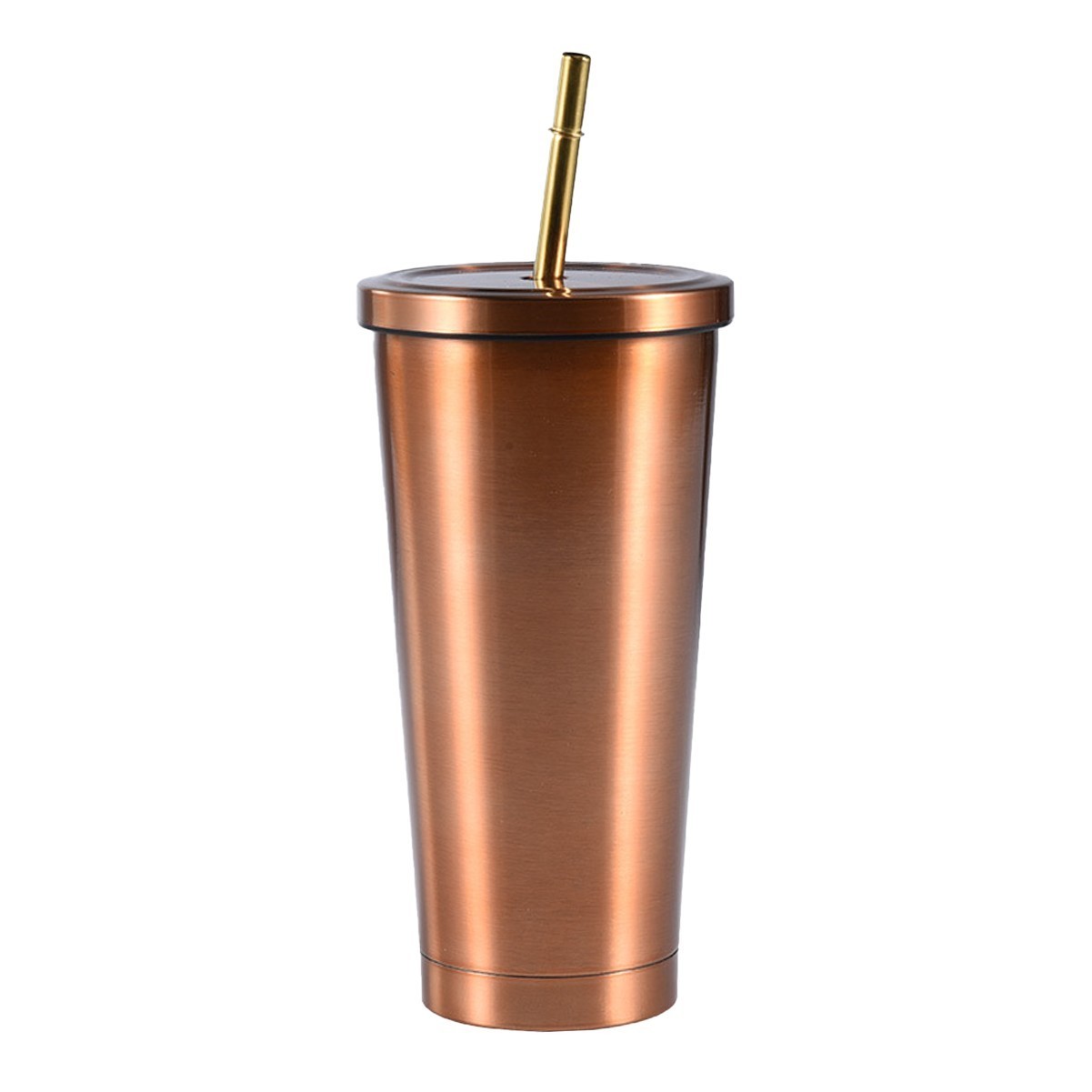 17.5oz Stainless Steel Double-Walled Tumbler with Lid and Straw