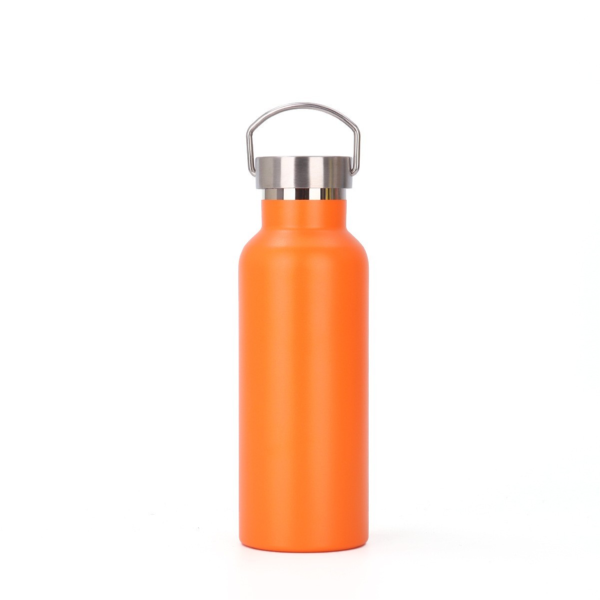 20oz Stainless Steel Water Bottle