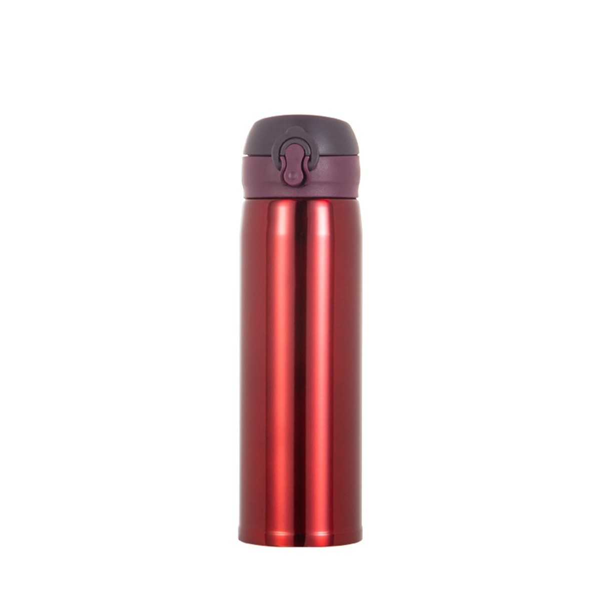 18oz Stainless Steel Vacuum Bottle