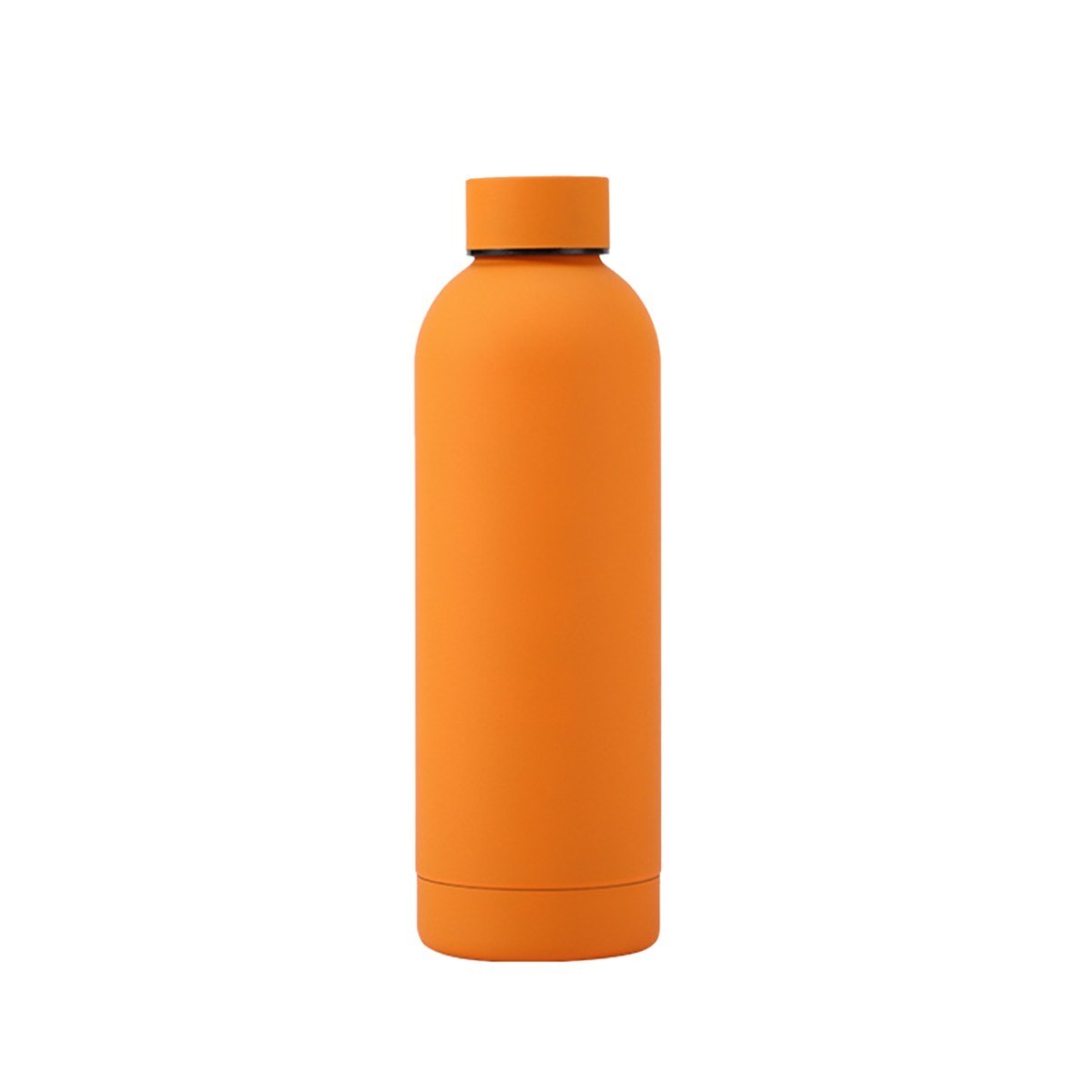 17oz Reusable Stainless Steel Frosted Water Bottle