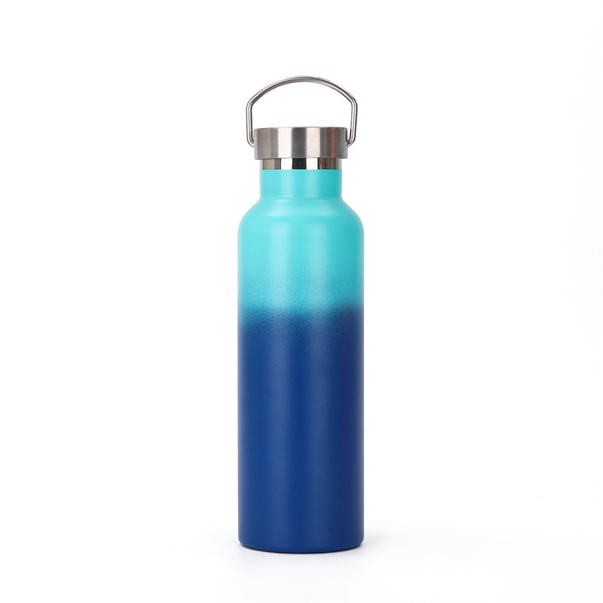 20oz Stainless Steel Water Bottle
