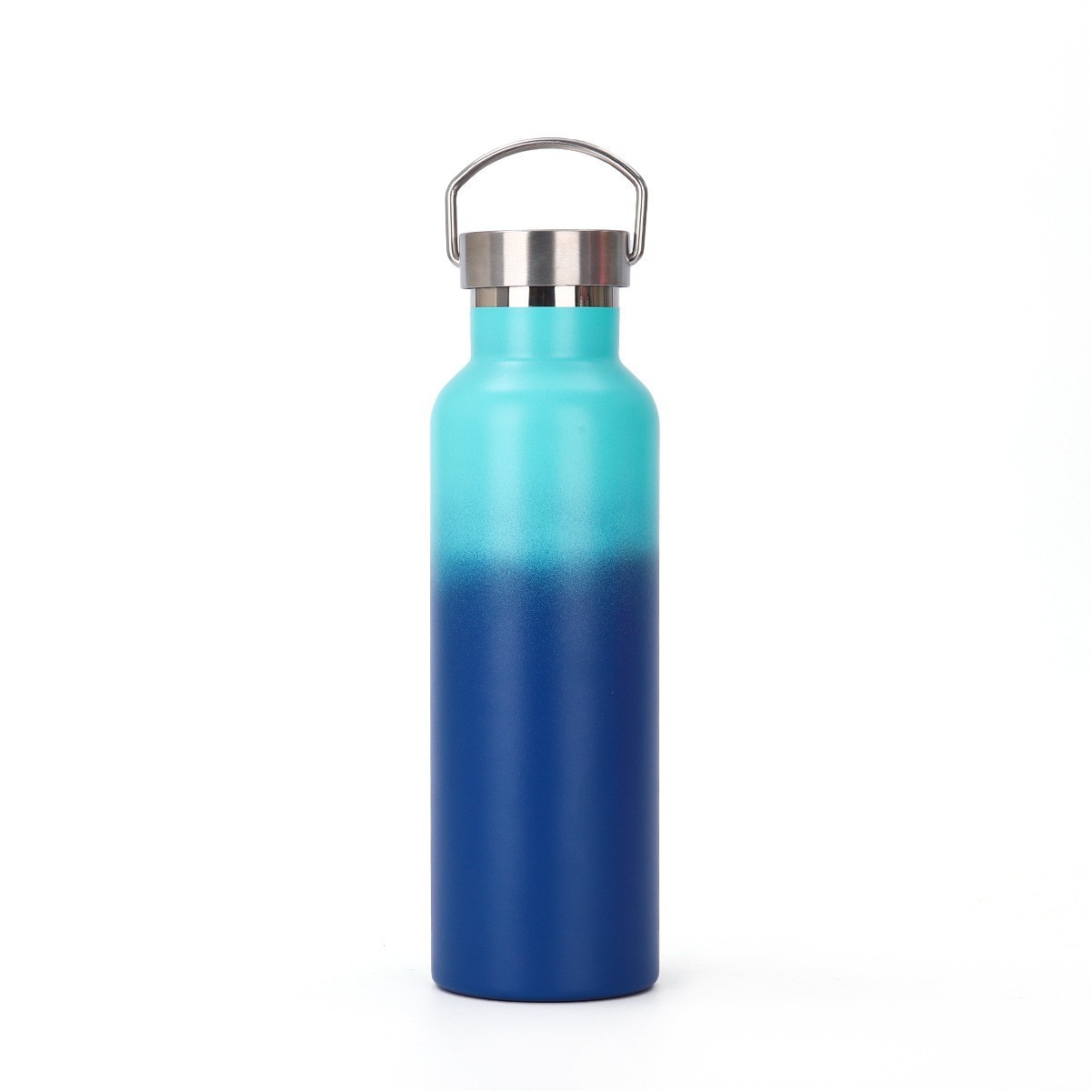 20oz Stainless Steel Water Bottle
