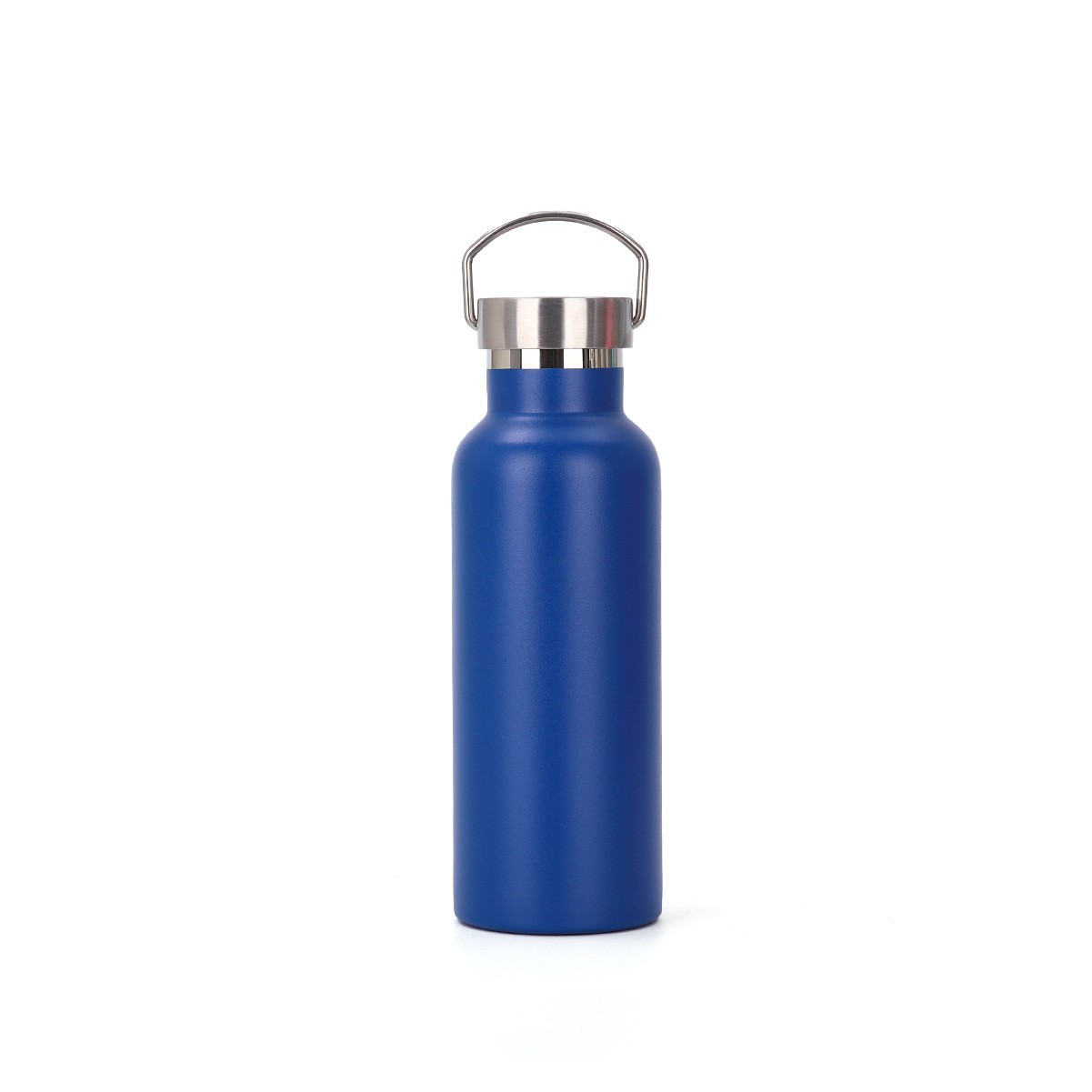 20oz Stainless Steel Water Bottle