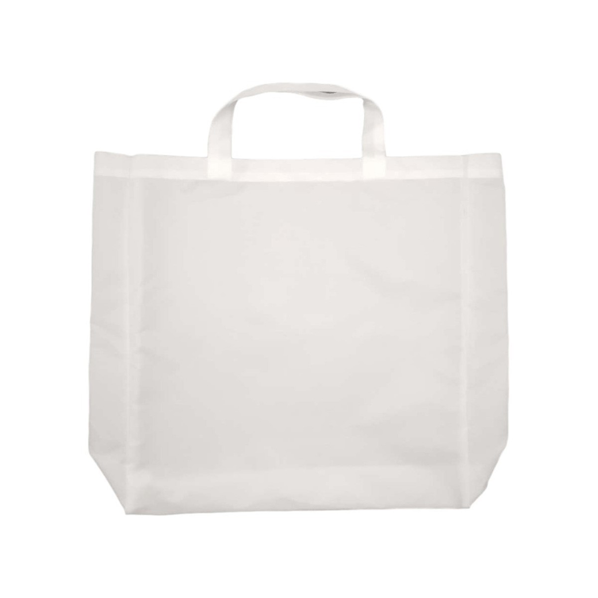 Large Transparent Tote Bag
