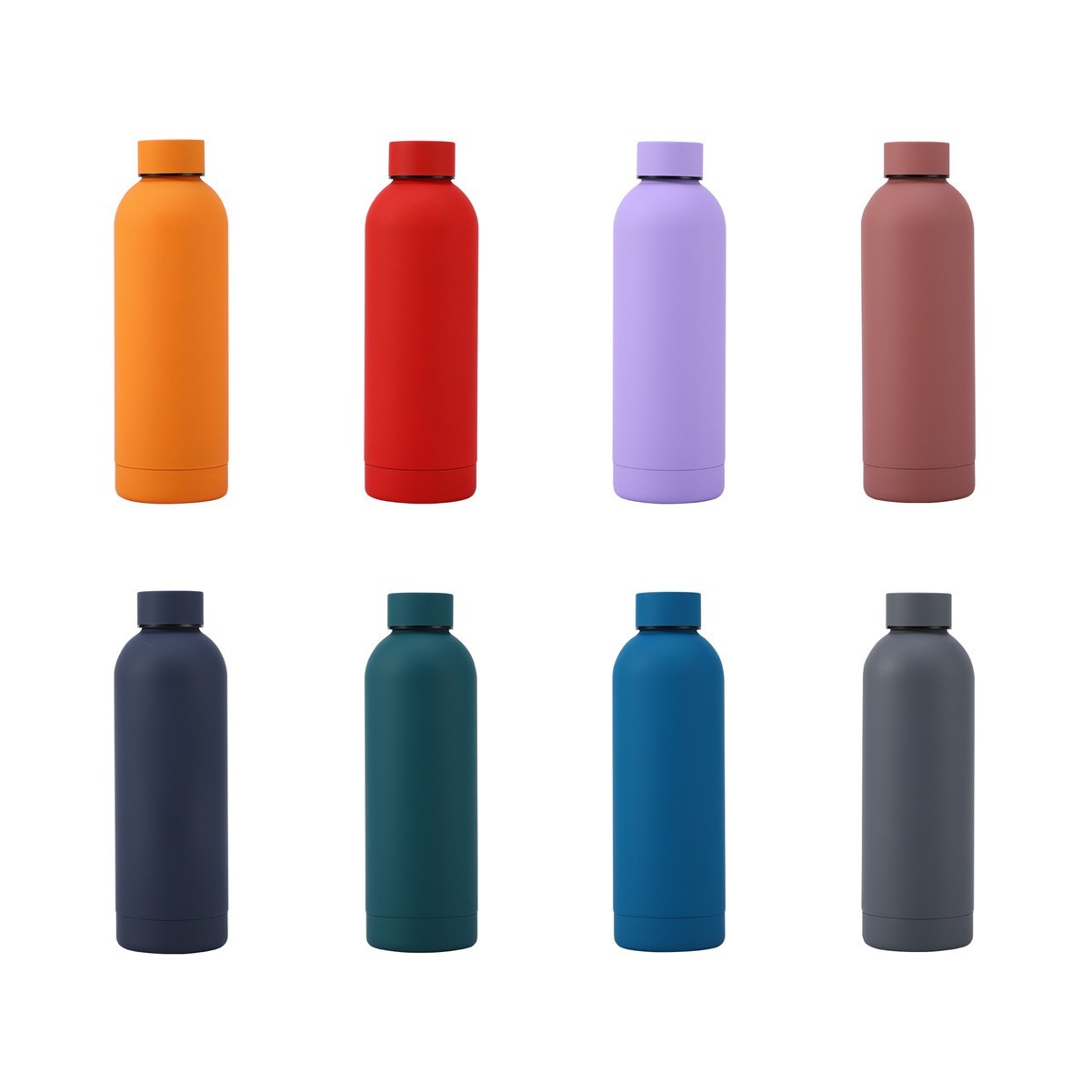 16.9 oz Stainless Steel Insulated Water Bottle