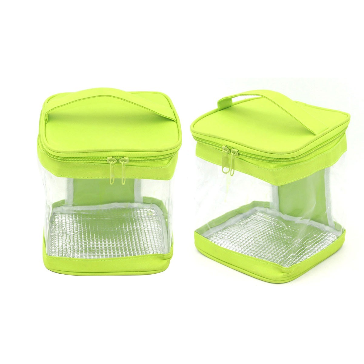 Transparent Insulated Cooler Bag