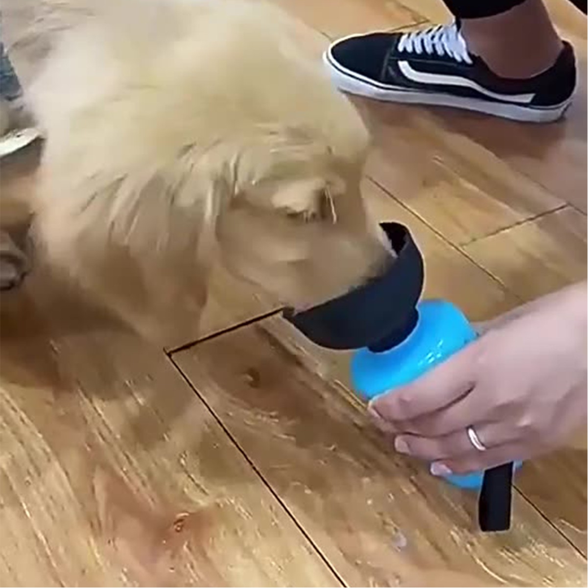 20oz Dog Water Bottle