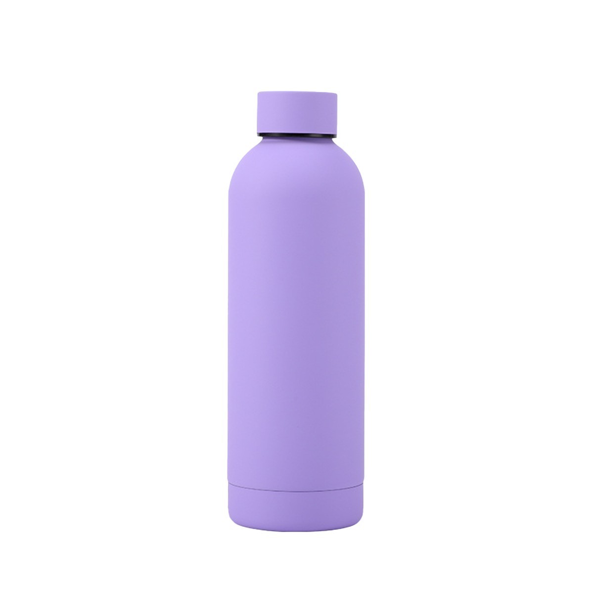 17oz Reusable Stainless Steel Frosted Water Bottle