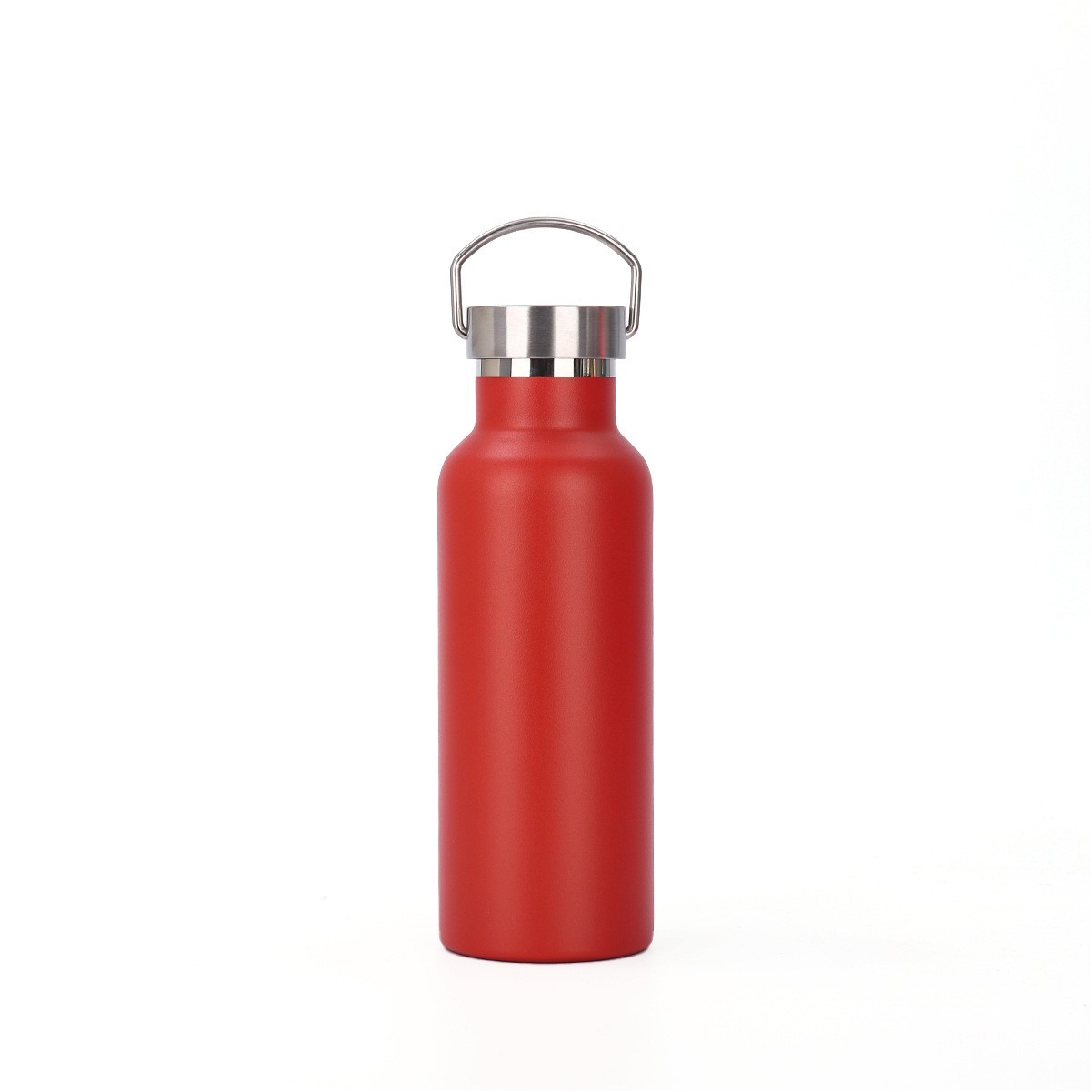 20oz Stainless Steel Water Bottle