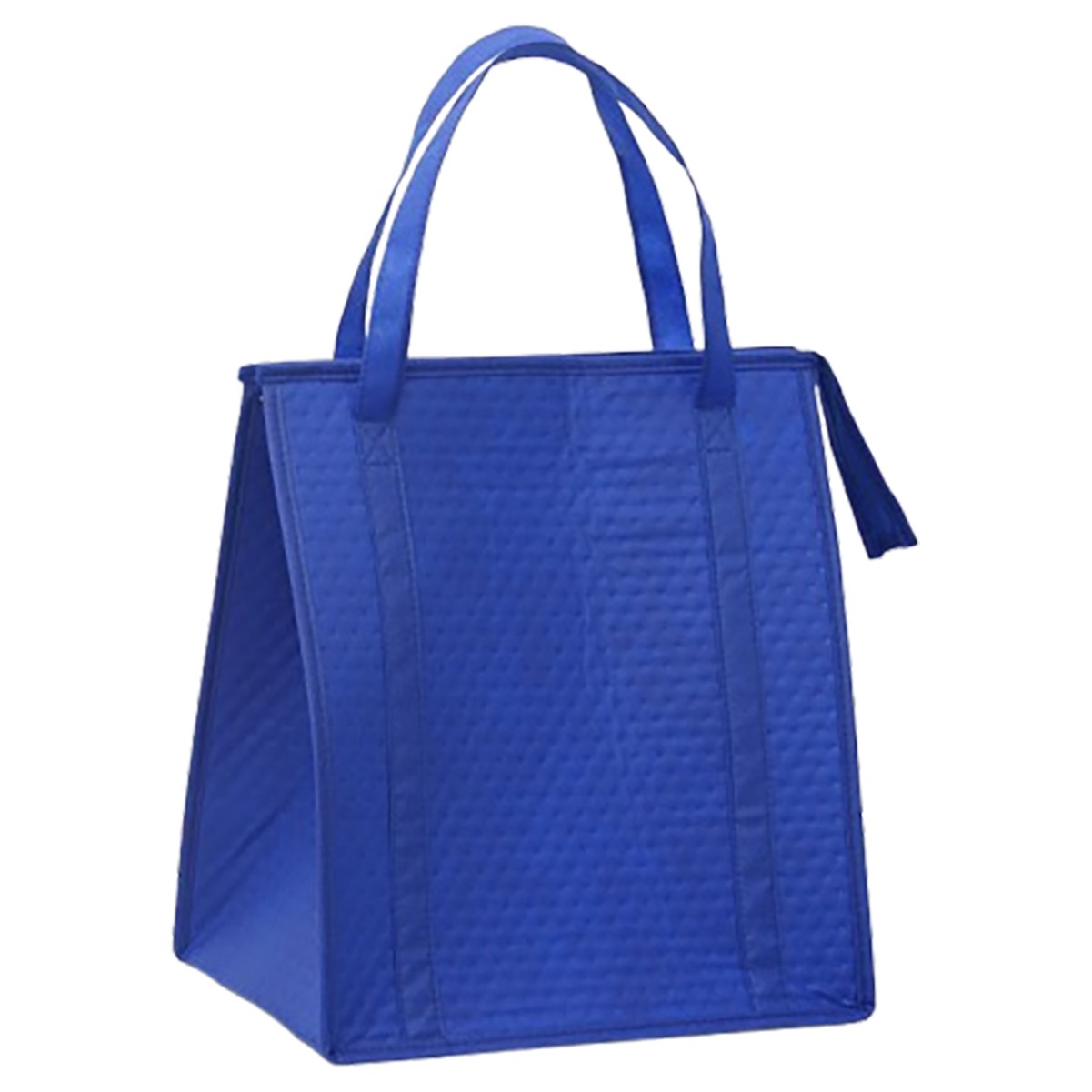 Insulated Lunch Bag