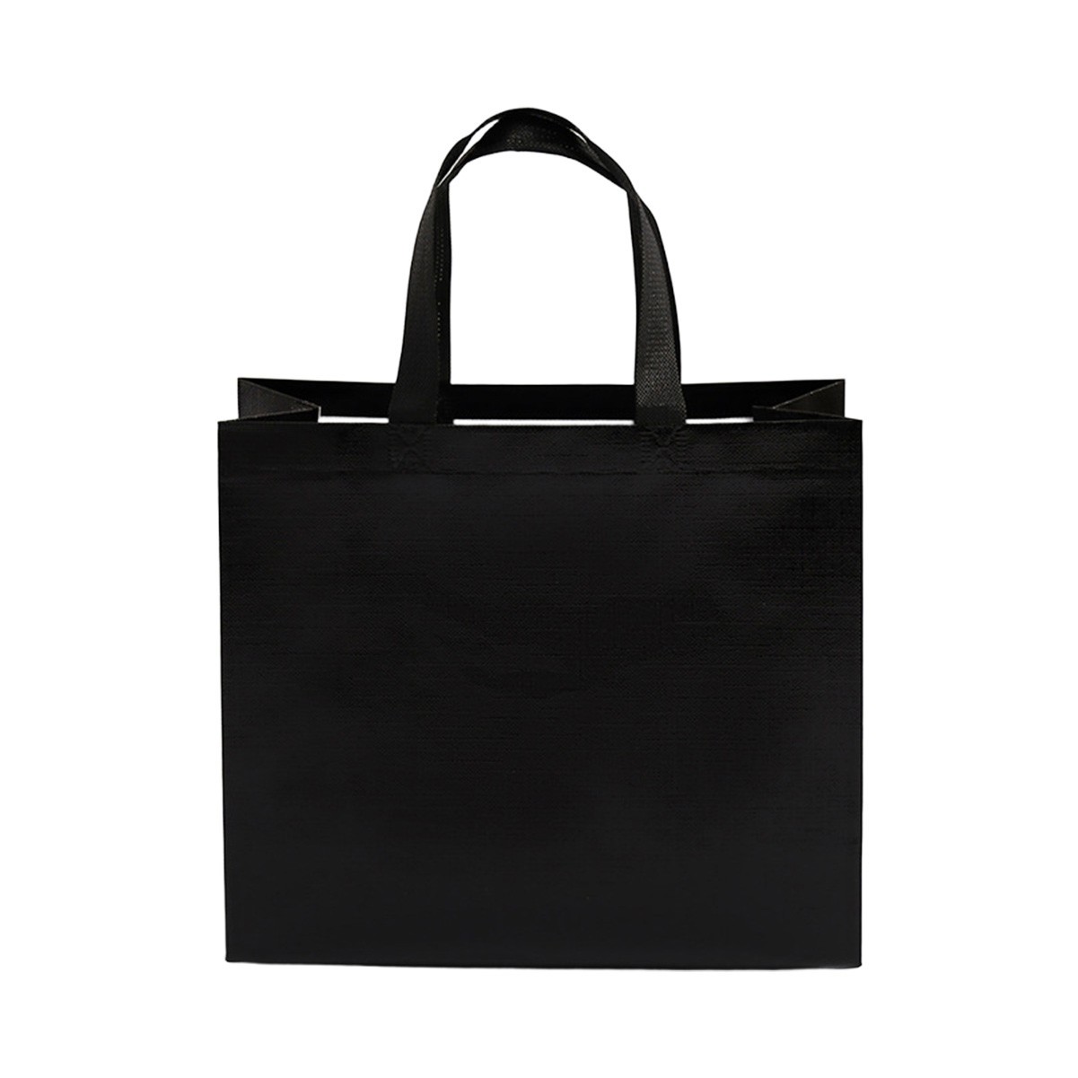 Laser Laminate Non-Woven Gift Bag
